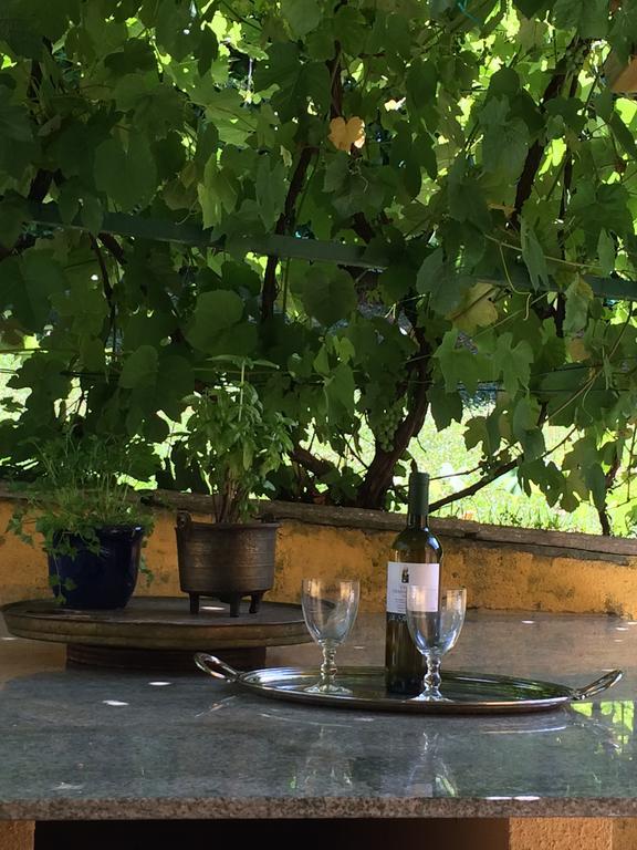Bed and Breakfast La Casanova Турин Екстер'єр фото